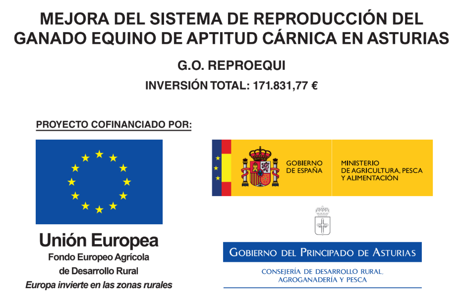 Proyecto_reproequino