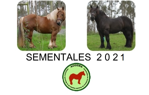 sementales_2021