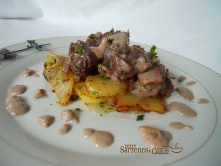 GUISOPOTRO