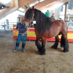 SAM_0957