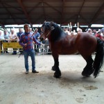 SAM_0961