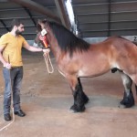 CONCURSO-EQUINO4