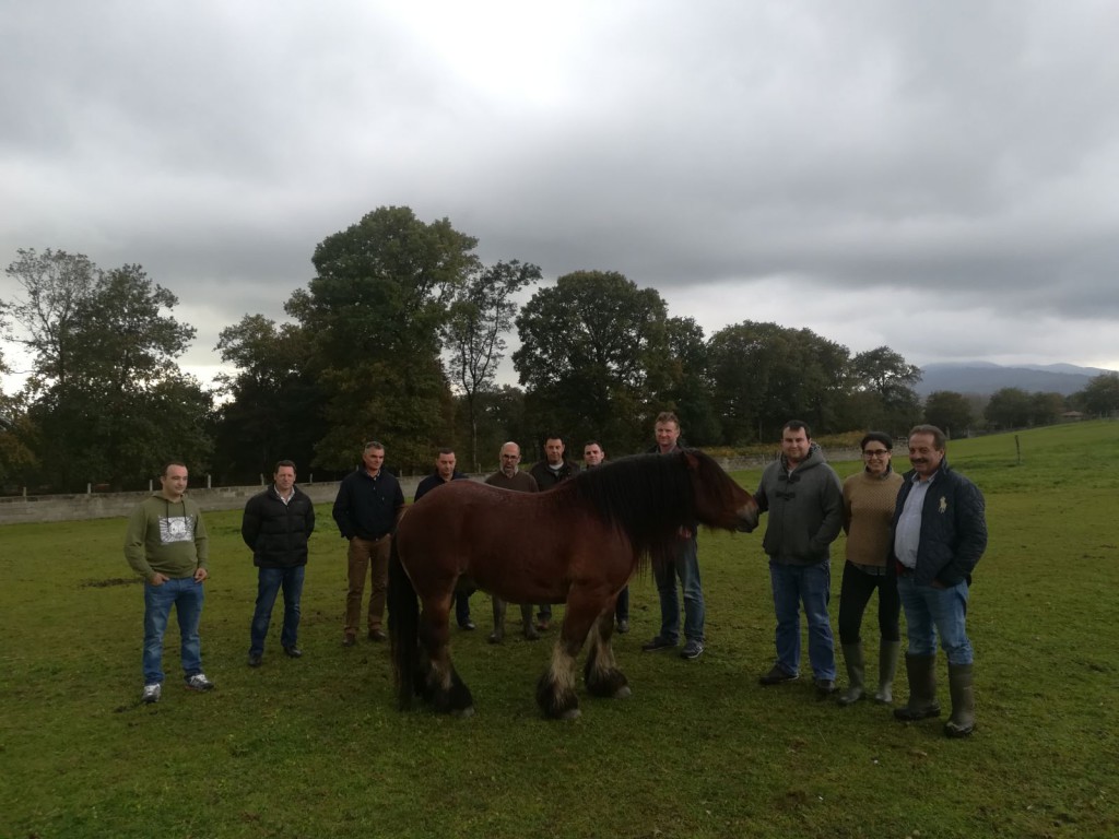 CURSO Jurado Equino CMA