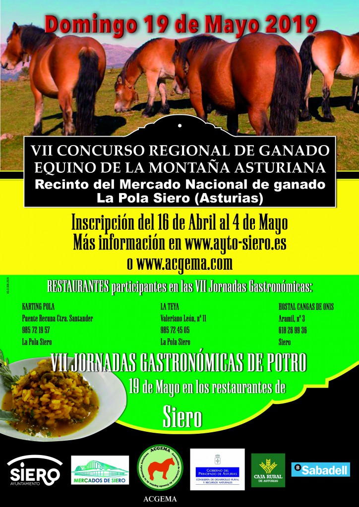 V-CONCURSO