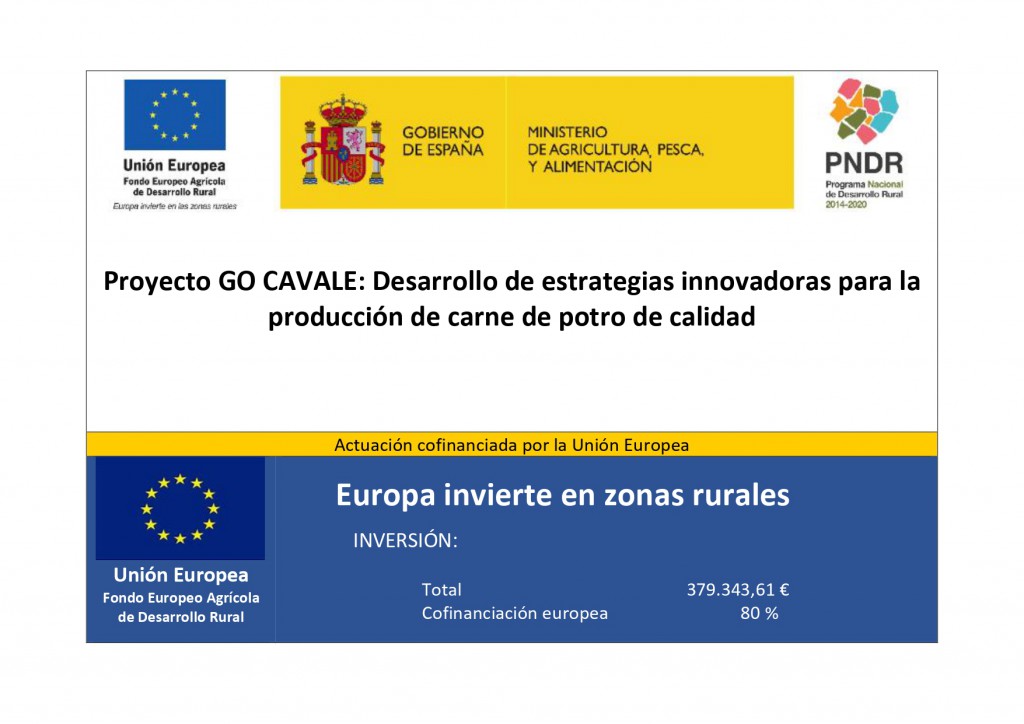 GO CAVALE_page-0001